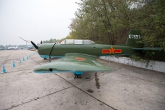CJ-6