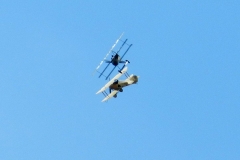Fokker Dr.I атакует Tumelissa
